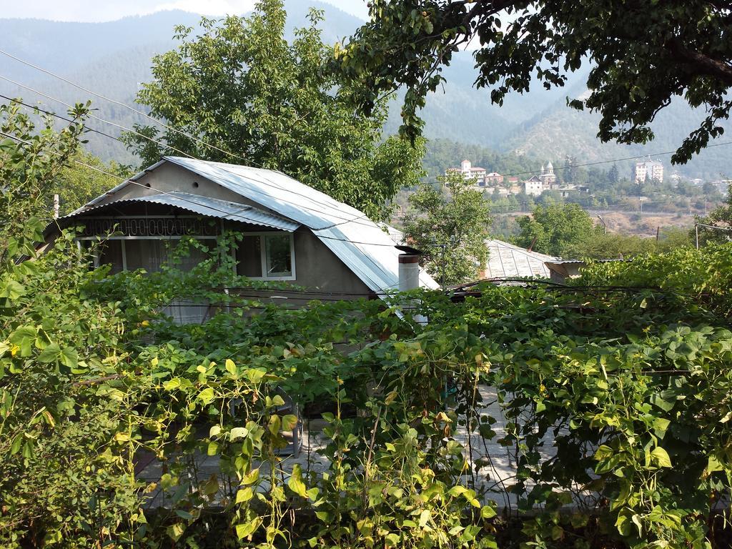 Bacho,S Cottage بورجومي المظهر الخارجي الصورة
